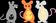 3RATS
