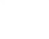Pulse