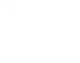 Pulse
