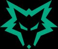 Team Dire Wolves logo