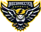 Disconnected Esports