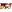 FN