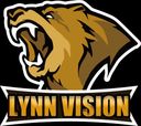 Lynn Vision