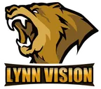 Lynn Vision