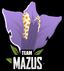 Team Mazus