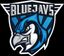 BLUEJAYS team logo