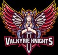 Team Valkyrie Knights logo