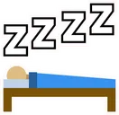 zzzz
