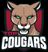 Top Cougars
