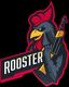 Rooster team logo